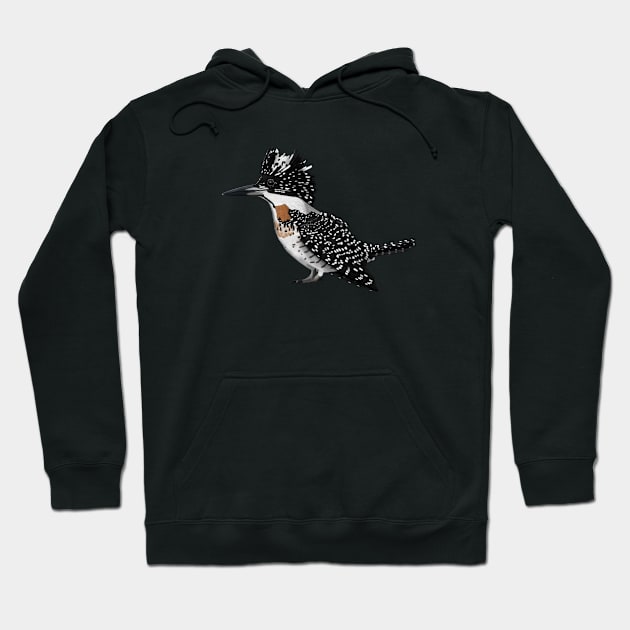 Crested Kingfisher Bird Art Birdlover Birdwatcher Animal Biologist Hoodie by jzbirds